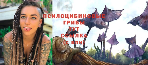 прущий лед Рославль