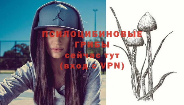 apvp Балабаново