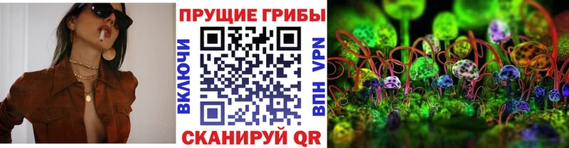 наркота  Щёлкино  Псилоцибиновые грибы GOLDEN TEACHER 